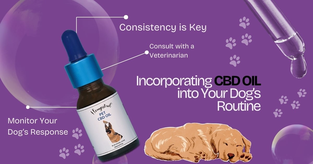 CBD for dogs India